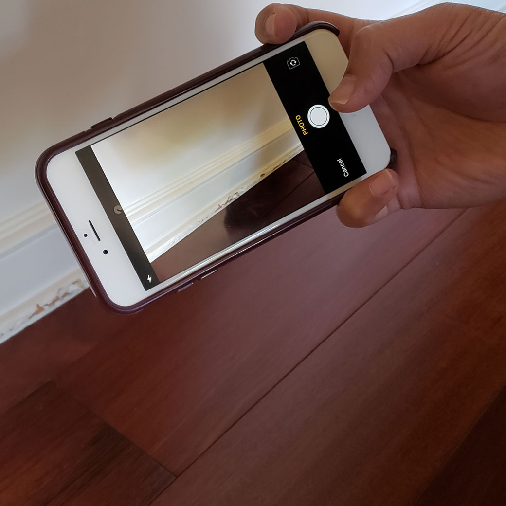 CAPTURE IMAGES AND NOTES DURING MOVE IN/OUT